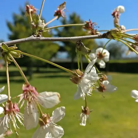 Punta Aderci Pensionat 3*