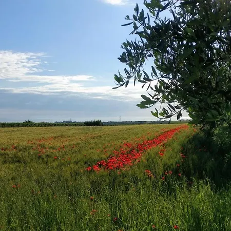 Pensionat Punta Aderci 3*