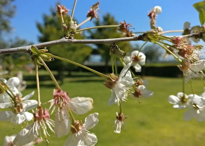 Punta Aderci Gasthuis 3*