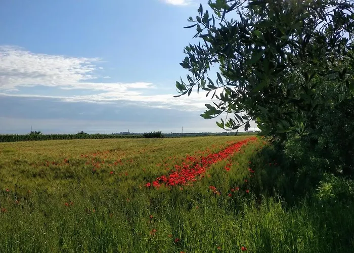 Guest house Punta Aderci 3*