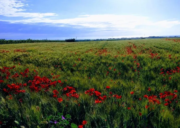 Punta Aderci Gasthuis 3*
